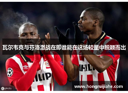 瓦尔韦克与芬洛激战在即谁能在这场较量中脱颖而出